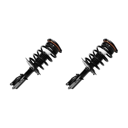 Pair strut spring - strut,
